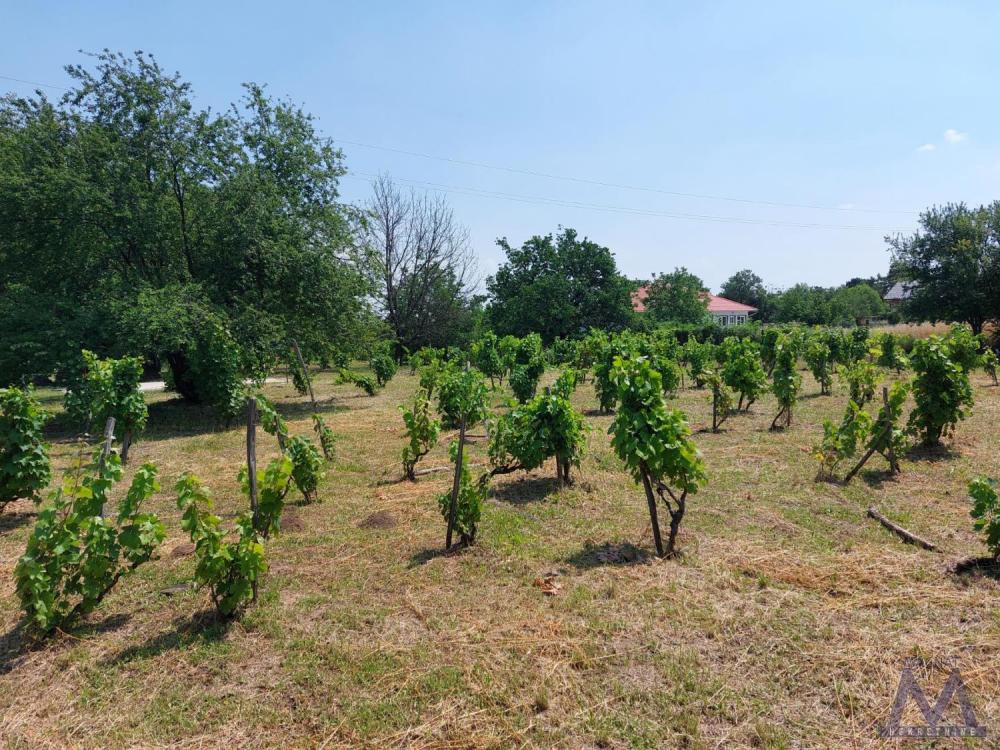 Slika 3 -  Plac na prodaju, 228, 45.750€