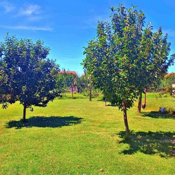 Slika 2 - Kuća na prodaju, 123m2, 164.800€