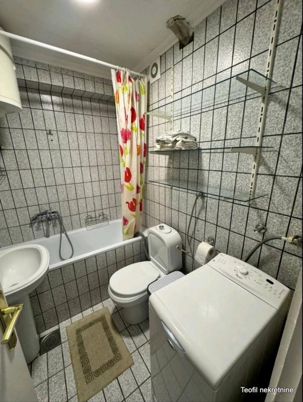 Slika 10 - Bulevar Arsenija Čarnojevića, Dvosoban stan za izdavanje, 60m2, 650€