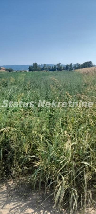 Glavna slika - Plac na prodaju, Futog, , 59.250€