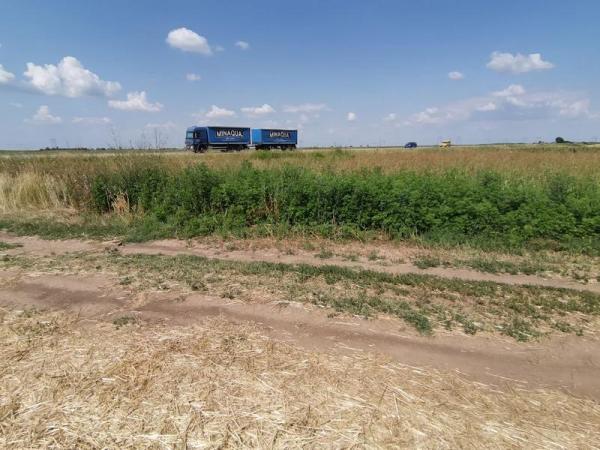 Slika 0 -  Plac na prodaju, Kać, 235.500€