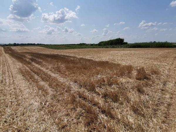 Slika 3 -  Plac na prodaju, Kać, 235.500€