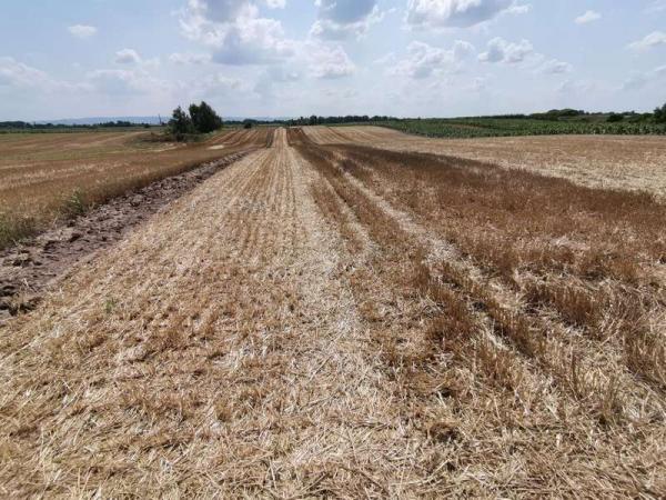 Slika 2 -  Plac na prodaju, Kać, 235.500€