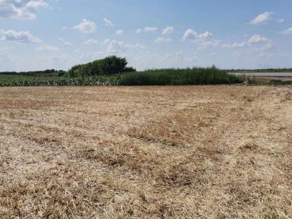 Glavna slika - Plac na prodaju, Kać, 235.500€