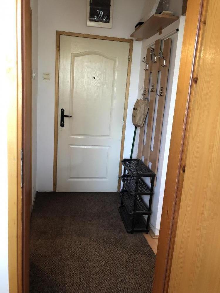 Slika 5 - Dragiše Cvetkovića, Jednosoban stan za izdavanje, 31m2, 350€