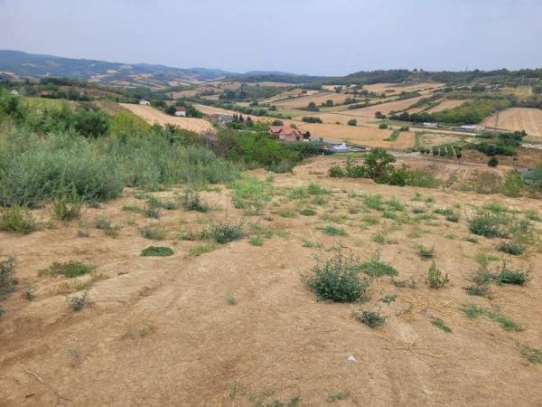 Glavna slika -Vezirac Plac na prodaju, Petrovaradin, 69.100€