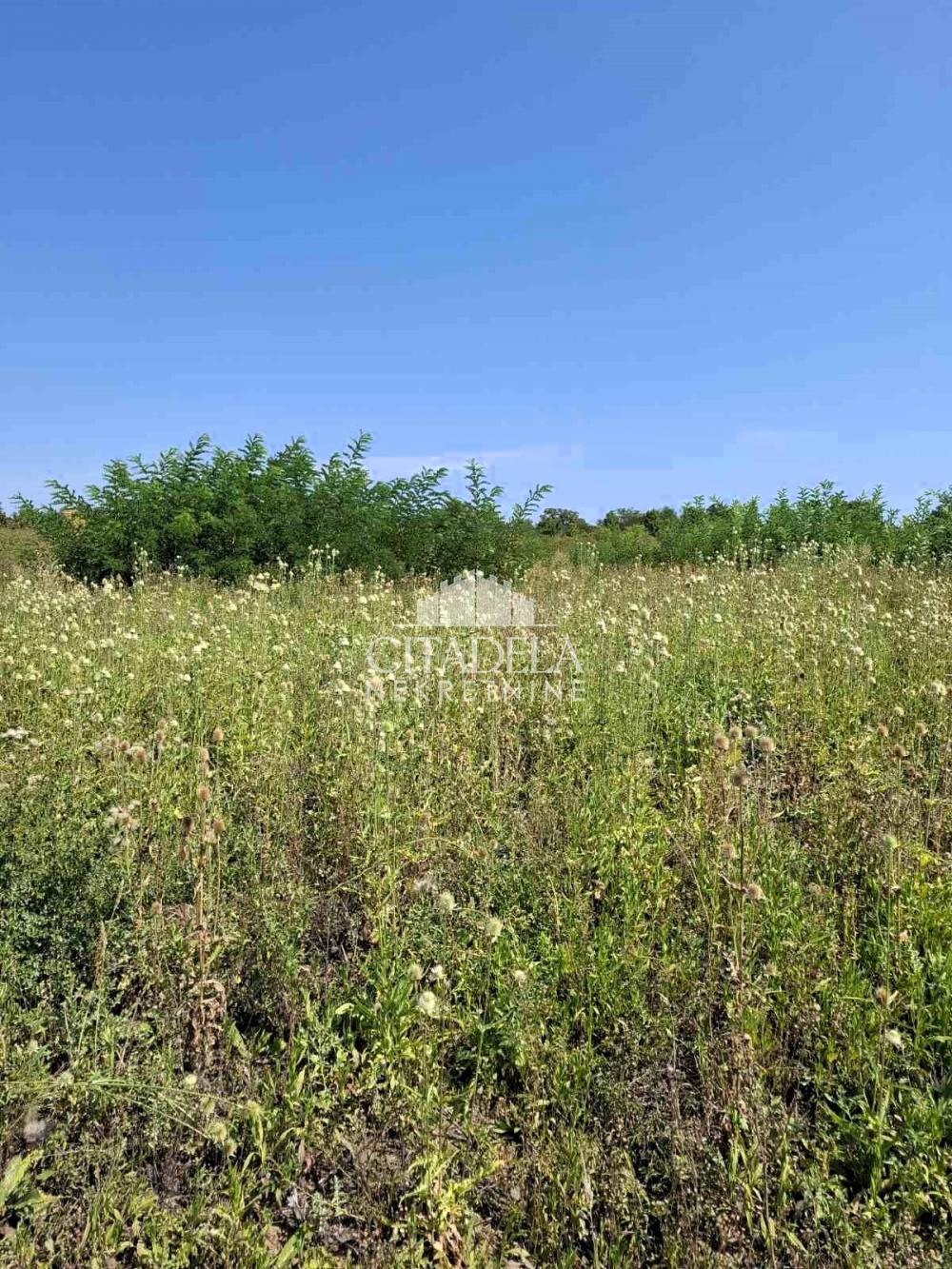 Slika 4 -  Plac na prodaju, Sopot, Popović, 32.000€