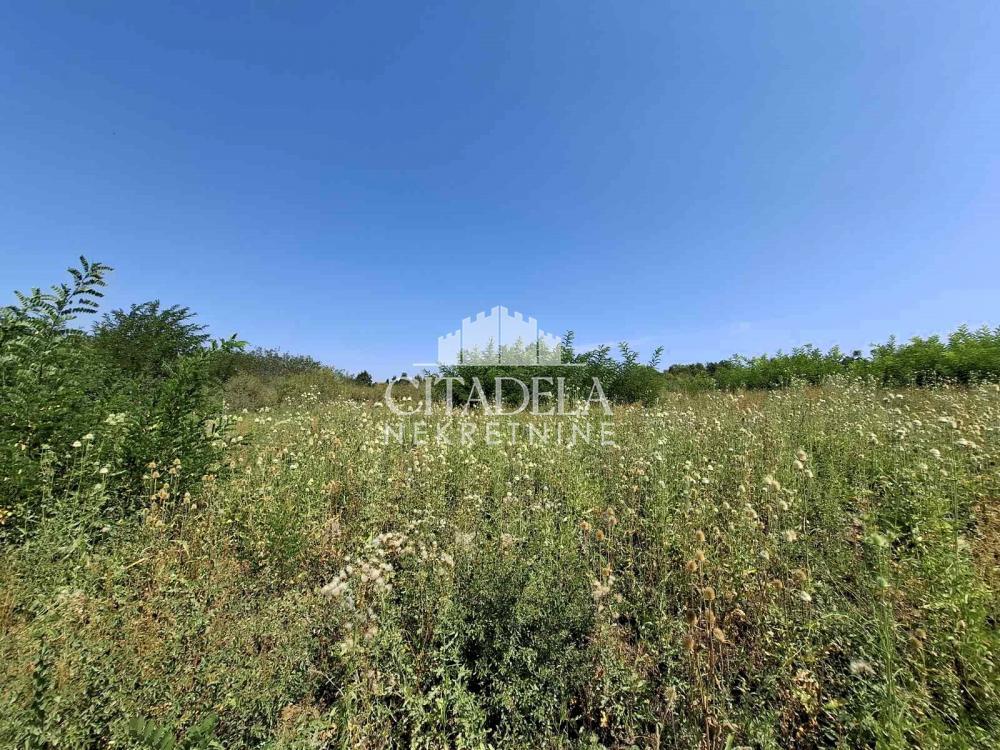 Glavna slika - Plac na prodaju, Sopot, Popović, 32.000€