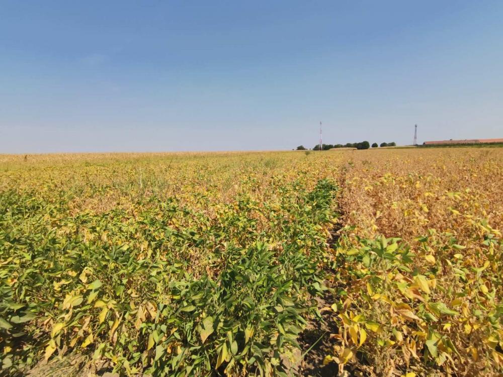 Slika 1 -  Plac na prodaju, Kisač, 103.000€