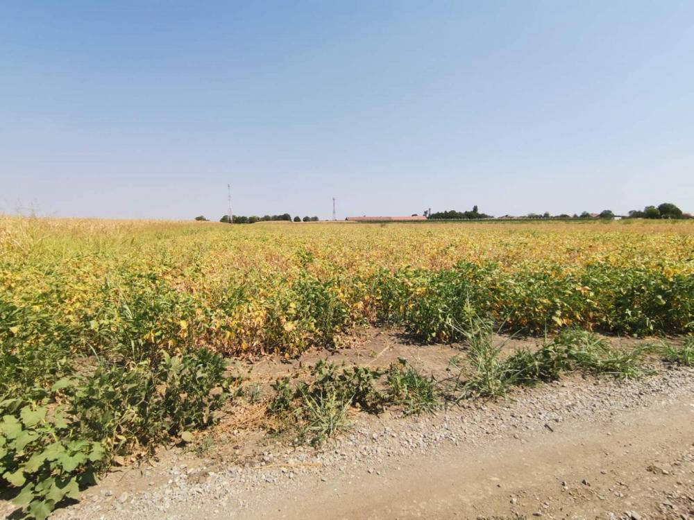 Slika 2 -  Plac na prodaju, Kisač, 103.000€