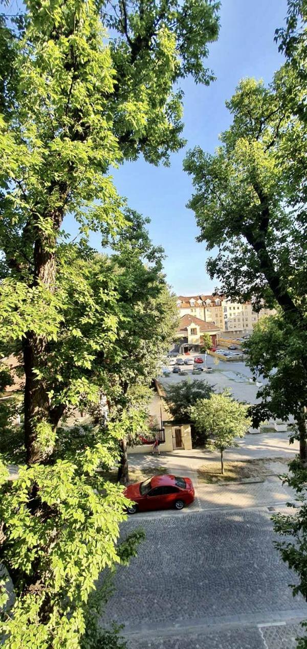 Glavna slika -Radnicka, Trosoban stan za izdavanje, 85m2, 550€