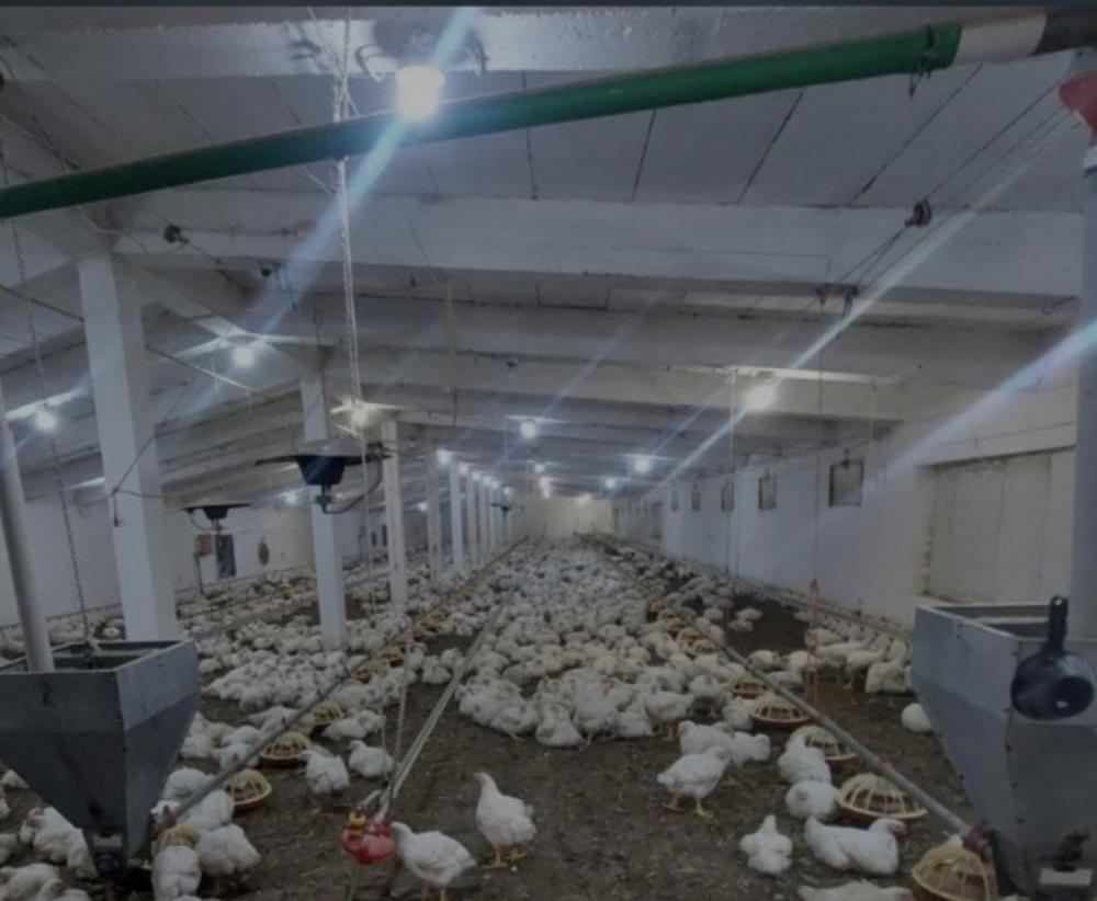 Slika 8 -  Lokal na prodaju, 2888m2, 1.200.000€