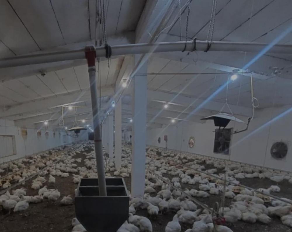 Slika 10 -  Lokal na prodaju, 2888m2, 1.200.000€