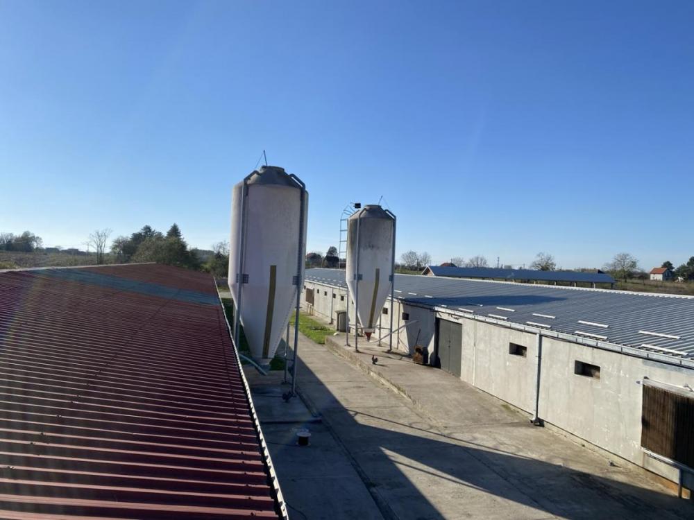 Glavna slika oglasa 306299