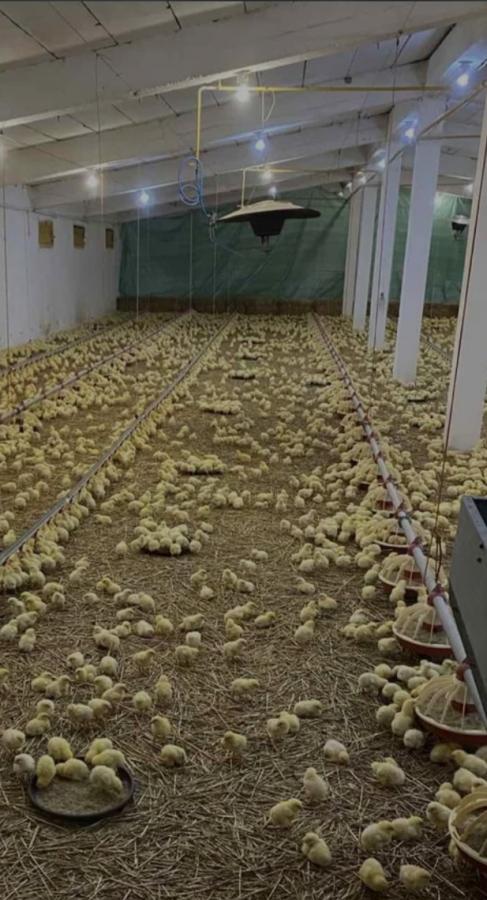 Slika 9 -  Lokal na prodaju, 2888m2, 1.200.000€