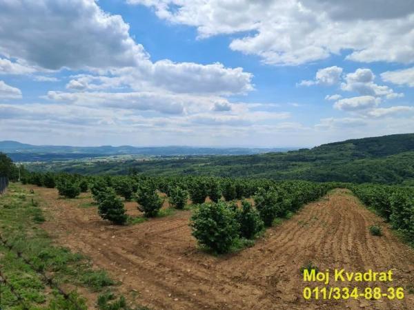 Slika 1 -  Plac na prodaju, Mladenovac, Koraćica, 2.250.000€