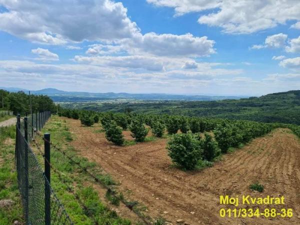 Slika 2 -  Plac na prodaju, Mladenovac, Koraćica, 2.250.000€