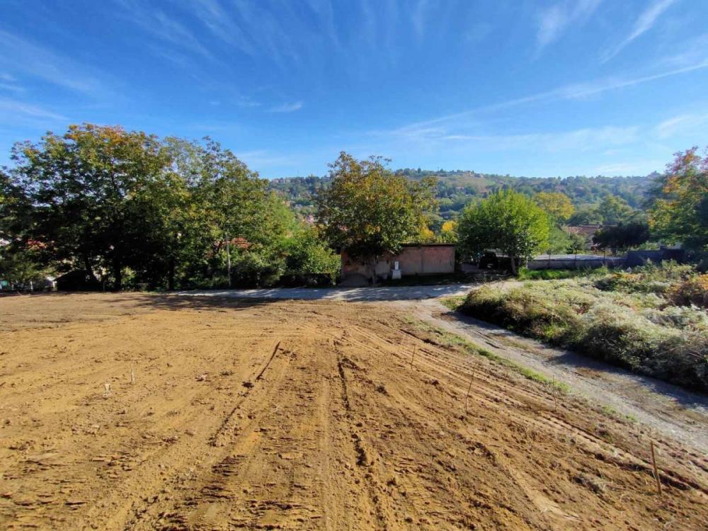 Slika 4 -  Plac na prodaju, Sremska kamenica - Popovica, , 100.000€