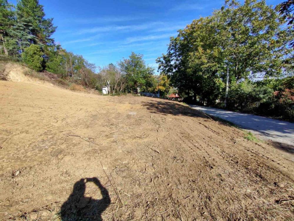 Slika 8 -  Plac na prodaju, Sremska kamenica - Popovica, , 100.000€