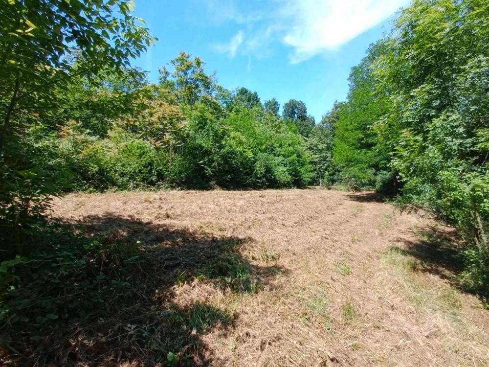 Glavna slika - Plac na prodaju, Mali Pozarevac, 46.000€