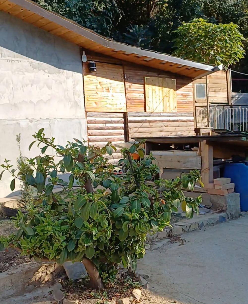 Glavna slika oglasa 312238