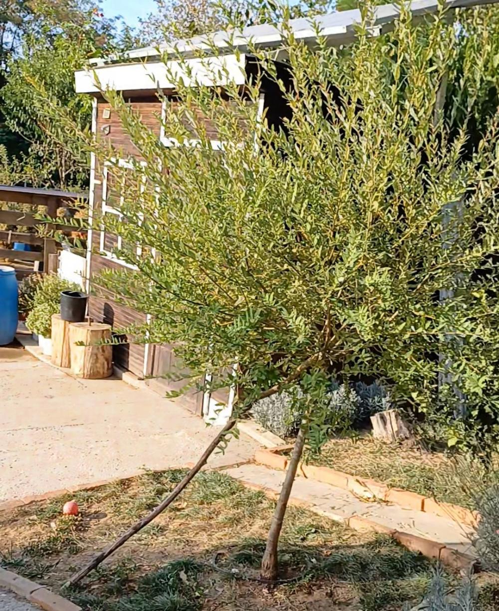 Slika 5 - Ribnjak,  Kuća na prodaju, 52m2, 70.000€