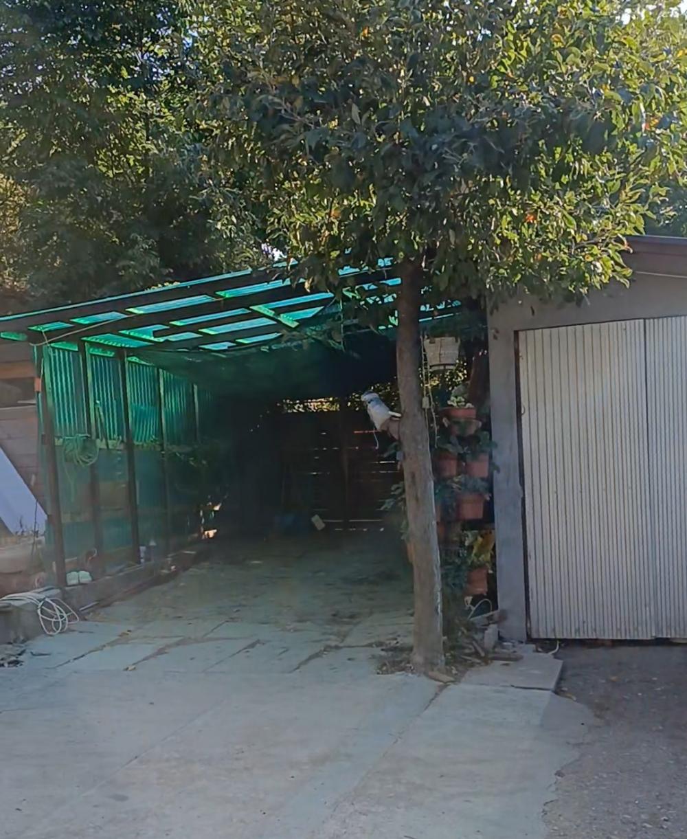 Slika 8 - Ribnjak,  Kuća na prodaju, 52m2, 70.000€