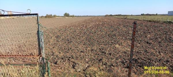 Glavna slika - Plac na prodaju, Zemun, Ugrinovci, 360.000€