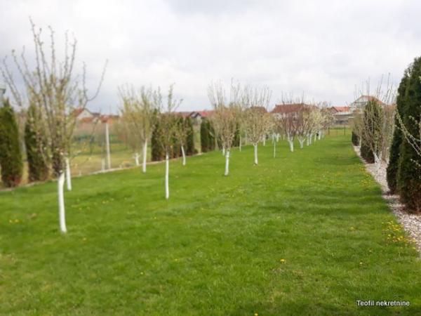 Slika 7 - Cara Dušana,  Kuća na prodaju, 450m2, 315.000€