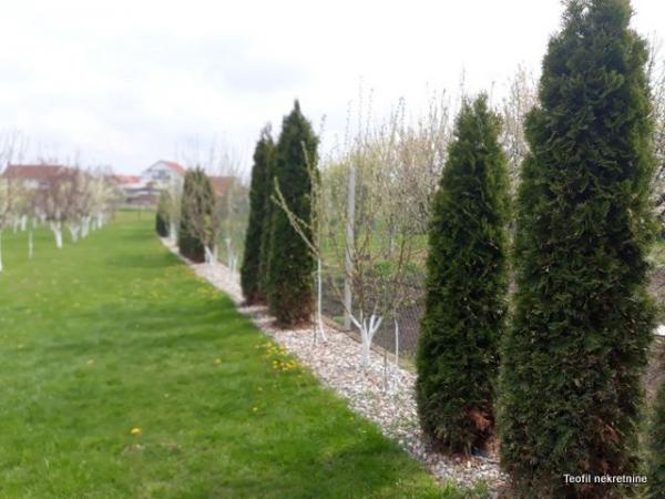 Slika 8 - Cara Dušana,  Kuća na prodaju, 450m2, 315.000€