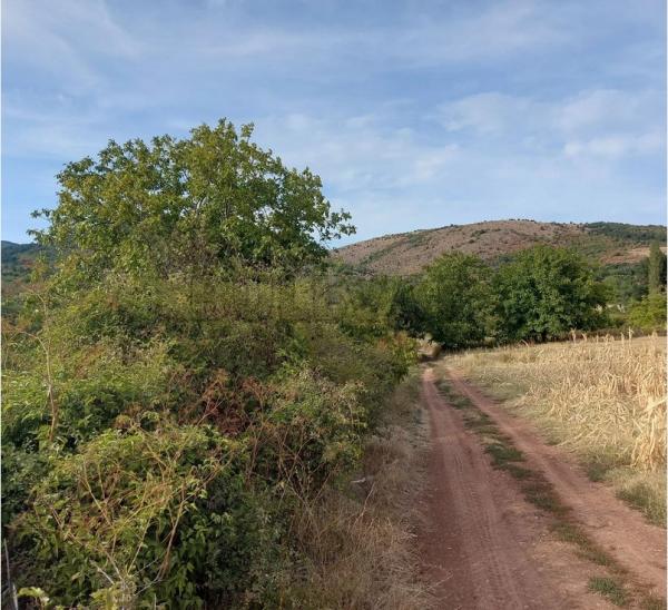 Slika 1 - Knez selo Građevinsko zemljište na prodaju, Niš, 17.000€