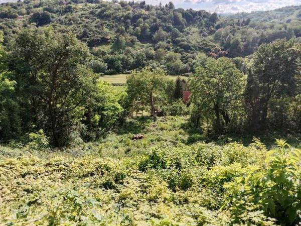 Slika 3 -  Plac na prodaju, Popovica, 51.500€