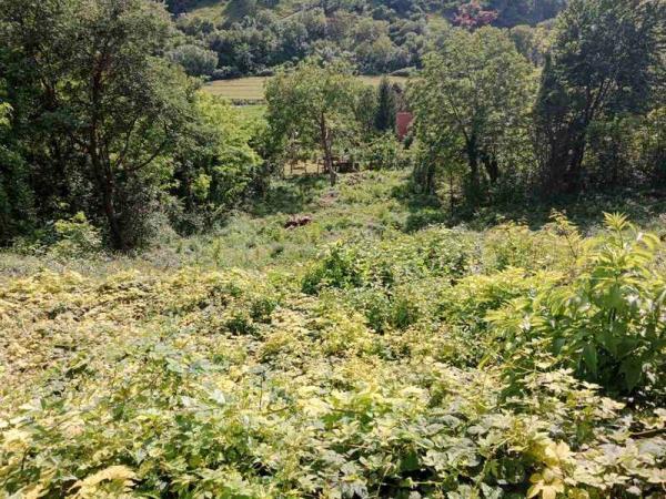 Slika 0 -  Plac na prodaju, Popovica, 51.500€