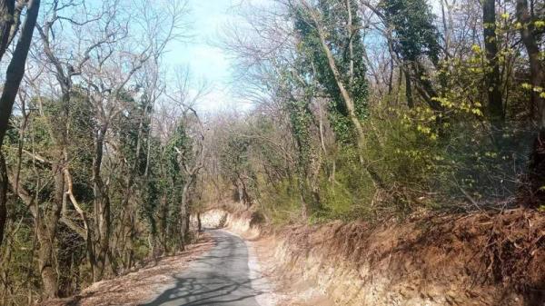 Slika 4 -  Plac na prodaju, POpovica, 91.670€