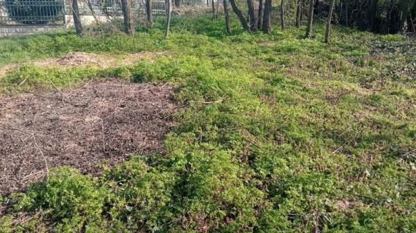 Slika 2 -  Plac na prodaju, POpovica, 91.670€