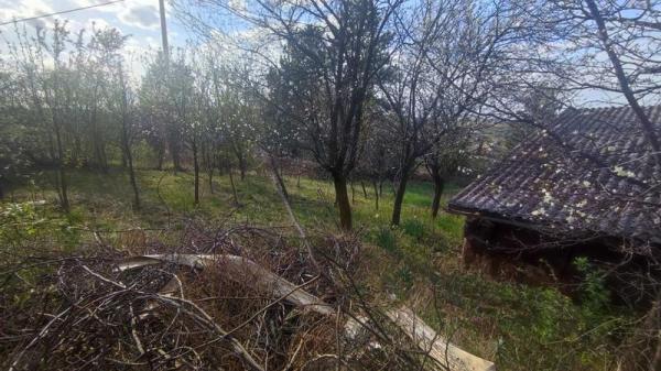 Slika 1 -  Plac na prodaju, Čardak, 82.400€