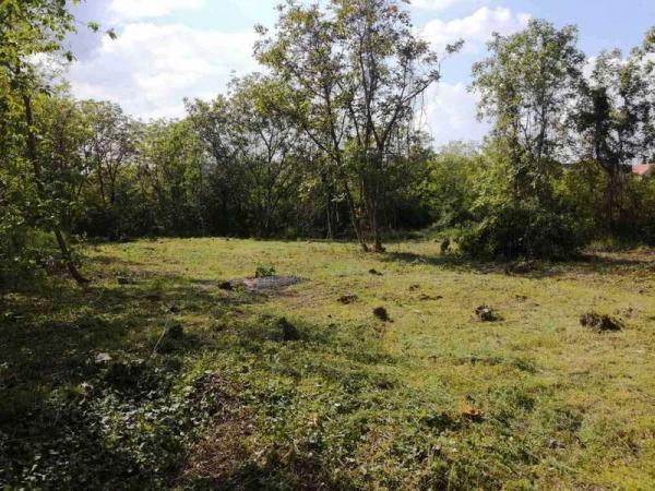 Glavna slika - Građevinsko zemljište na prodaju, Petrovaradin, 195.700€