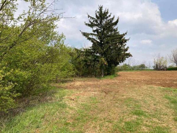 Glavna slika - Plac na prodaju, Banstol, 63.000€