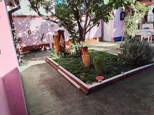 Glavna slika oglasa 319648