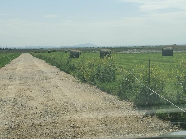 Slika 4 - Busije Plac na prodaju, Batajnica, 144.478€