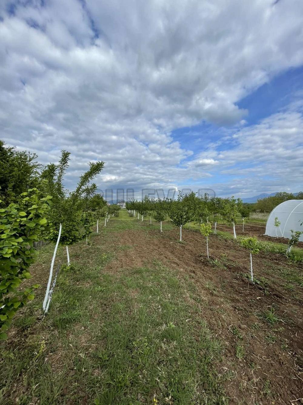 Slika 11 - Matejevački put, Kuća na prodaju, 100m2, 206.000€