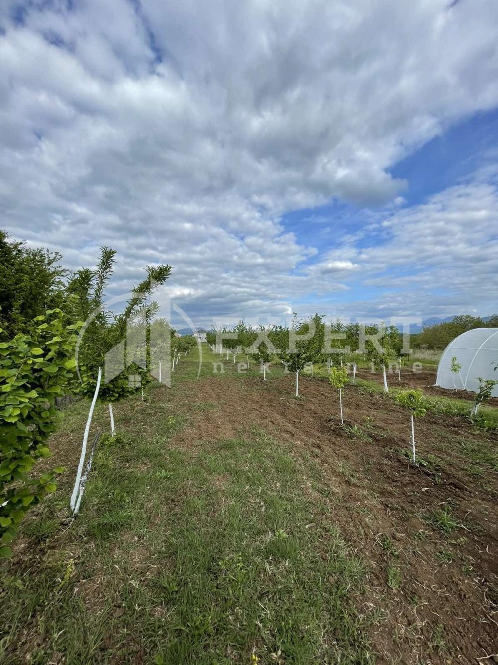 Slika 11 - Matejevački put,  Kuća na prodaju, 100m2, 206.000€