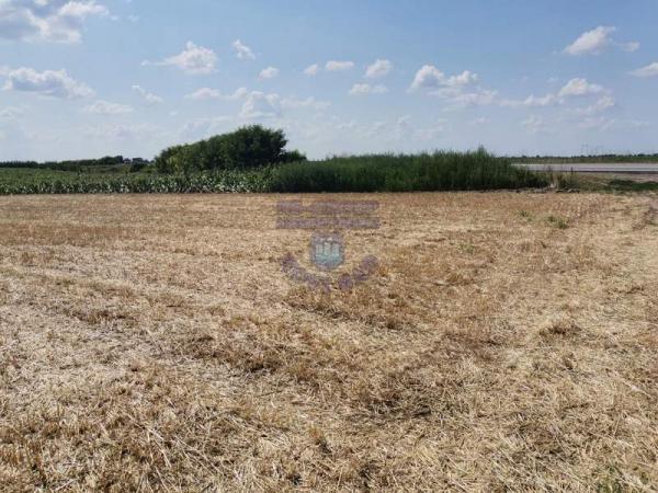 Slika 1 -  Plac na prodaju, Kać, 178.400€