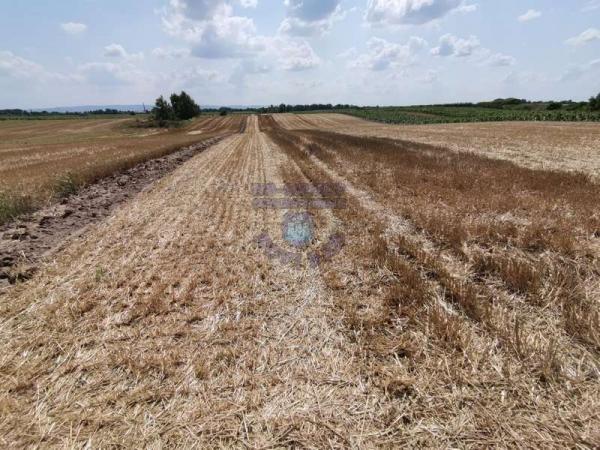 Slika 2 -  Plac na prodaju, Kać, 178.400€