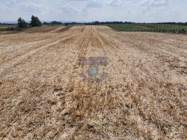 Glavna slika - Plac na prodaju, Kać, 178.400€