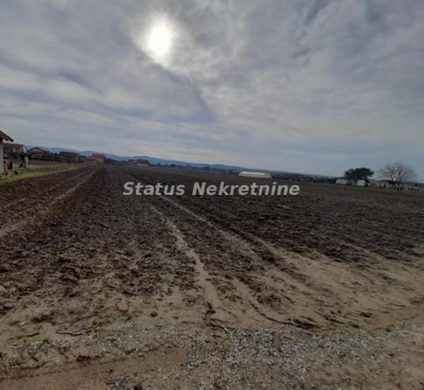 Glavna slika - Plac na prodaju, Futog, , 61.800€