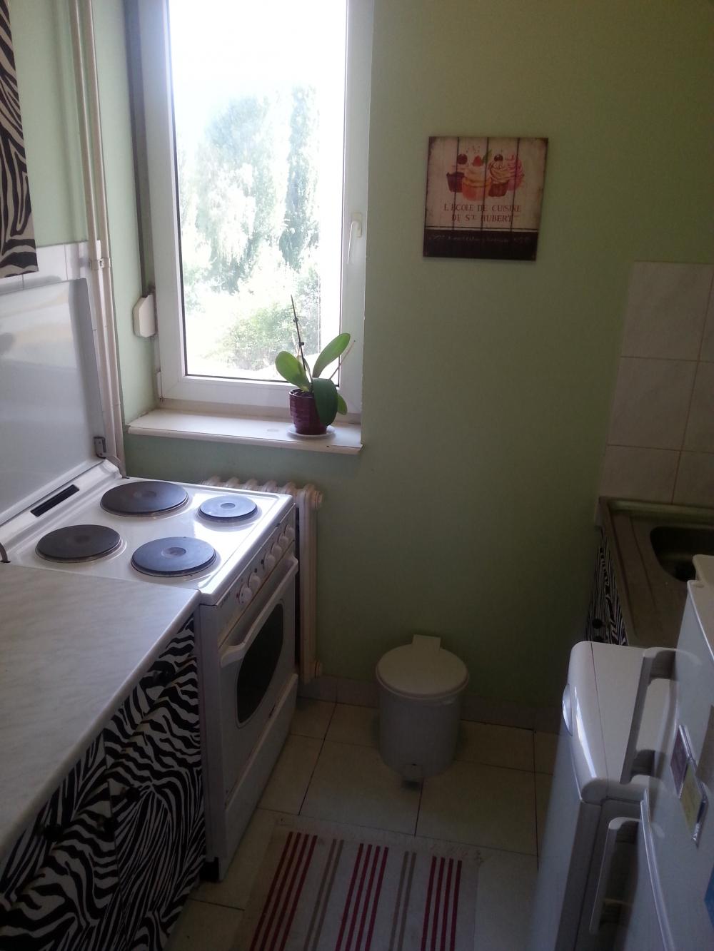 Slika 7 - Marka Miljanova, Jednosoban stan za izdavanje, 32m2, 300€