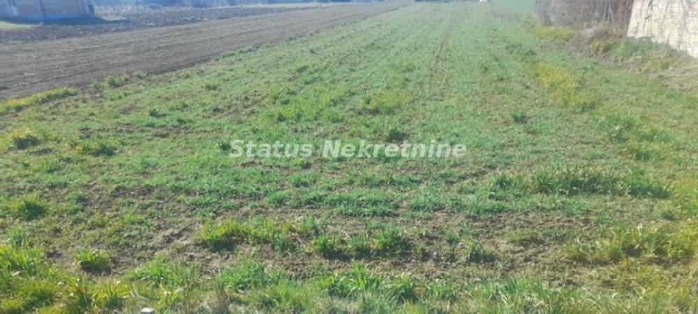 Glavna slika - Plac na prodaju, Begeč, , 44.000€