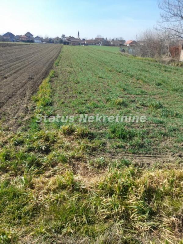 Slika 2 -  Plac na prodaju, Begeč, , 44.000€