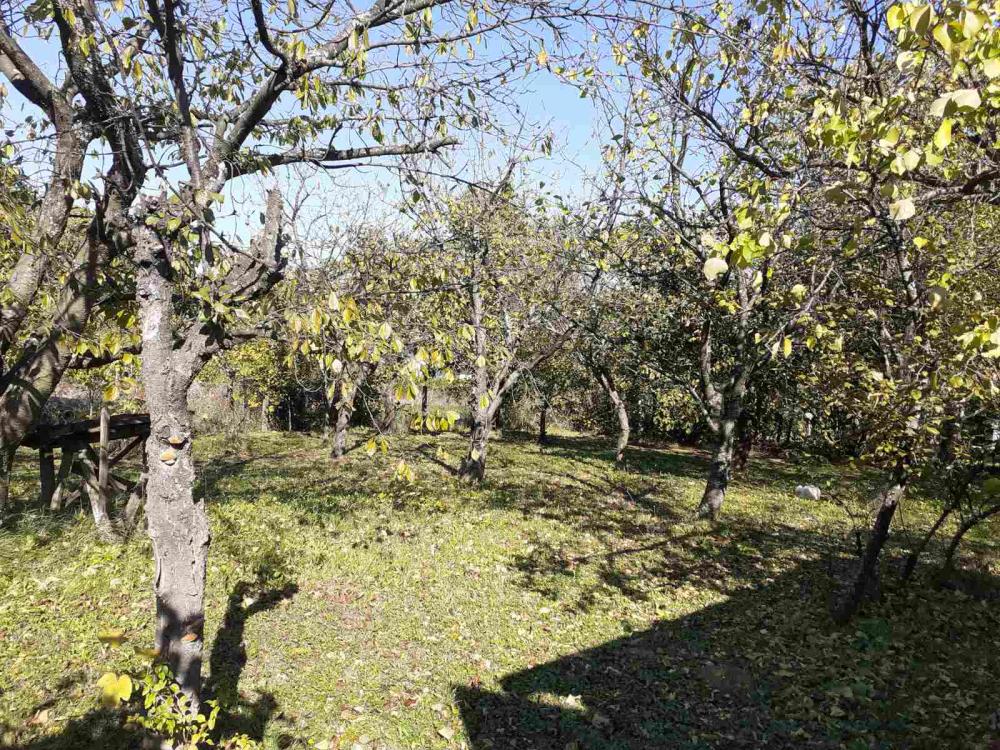 Slika 1 - Parcani,  Kuća na prodaju, 204m2, 100.000€